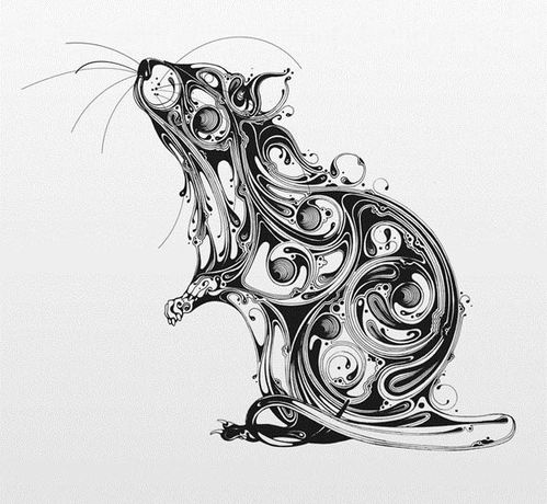 一组充满曲线美感的手绘动物插画作品丨王氏教育集团