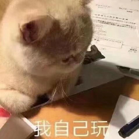 有趣的憨憨文案2