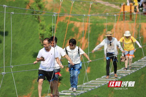 刺激又好玩衡阳县西渡镇清花湾青果乐园今日开园