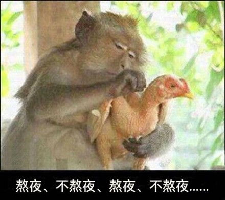 已黑化你不懂血的味道沙雕熊猫头表情包第五弹斗图表情