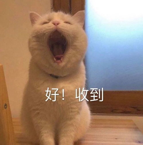 表情包下雨天就应该在家里躺着