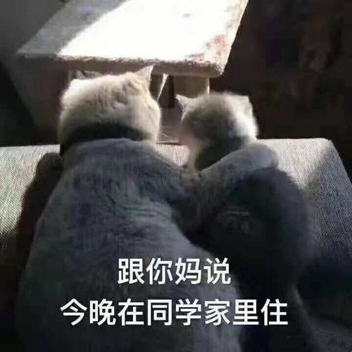 幽默笑话心疼老公每天六点多就要起床赶公交,决定开车送他上班