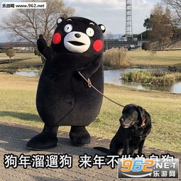 2018微信搞笑表情包狗年