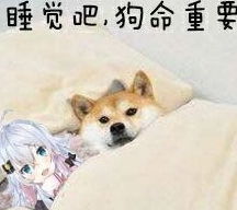 幽默搞笑段子集这张脸看起来怎么有些别扭还说不清是哪里