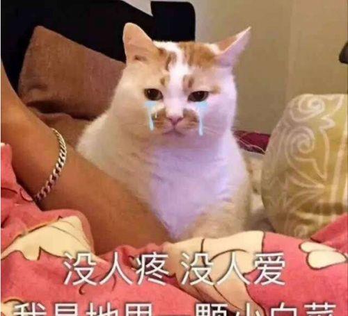 幽默笑话老公第一次上我家时,我妈做了一道鱼,我爸一直抱怨