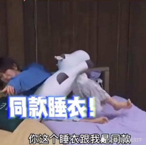 张艺兴和杨紫当面澄清绯闻,网友却表示磕到了