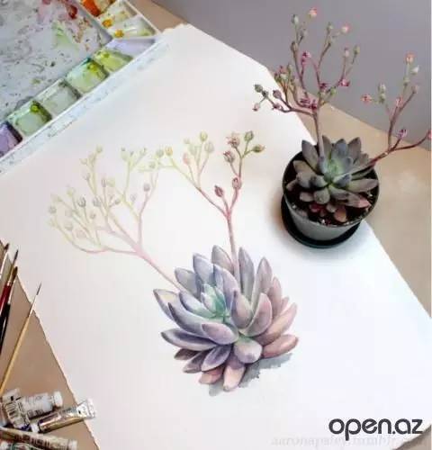 我想和你,一边种,一边画