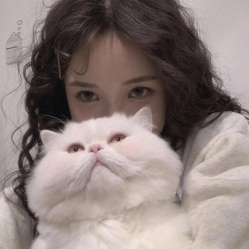 头像图片丨女生头像丨可爱的猫系女头1214