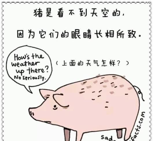 被骗多年的黑暗冷知识和尚之间联姻想不到,图四这是高手