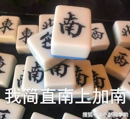 麻将表情包也太好笑了吧,哈哈哈哈哈哈哈哈