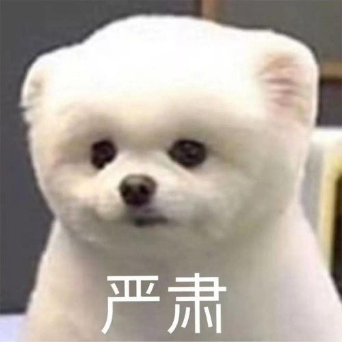 为什么抖音上看不到穷人