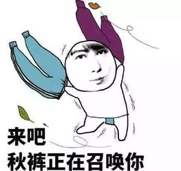 抖音白露该穿秋裤表情包分享