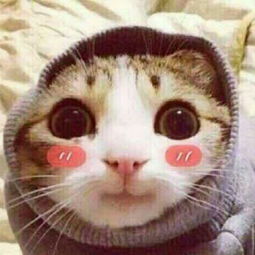 仙女小姐洁的微博微博