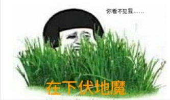 绝地求生表情包下载绝地求生表情包高清版极光下载站