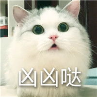 超萌的猫咪搞怪表情带字大全2017小婊砸还不去铲屎