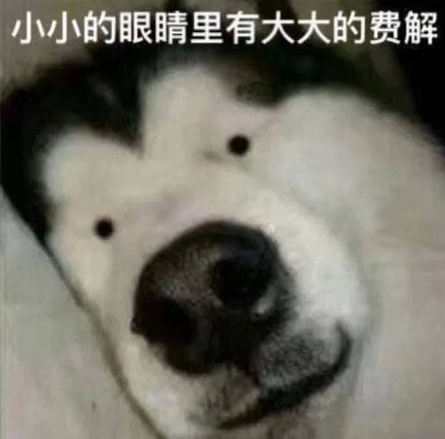 中考不管饭啊,不管饭北京警方这届家长可是真难带啊