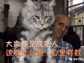 表情包,前景辽阔的掘金库