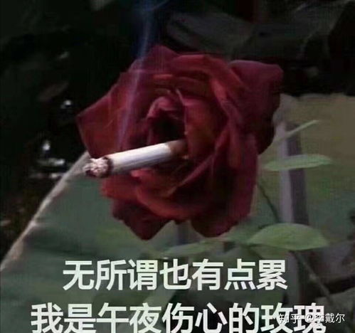 如何评价秦昊李沁主演的锦绣南歌