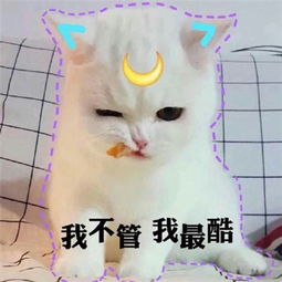 最新搞怪可爱动物头像微信萌宠自从删除你之后网速快多了