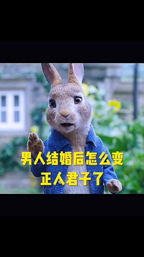 男人结婚后怎么办正人君子了搞笑