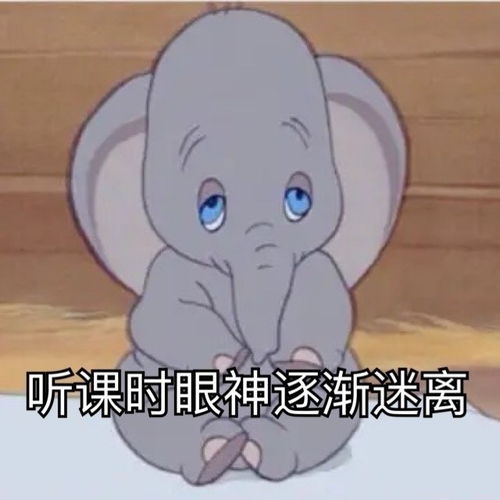 表情包滚去学习坏东西