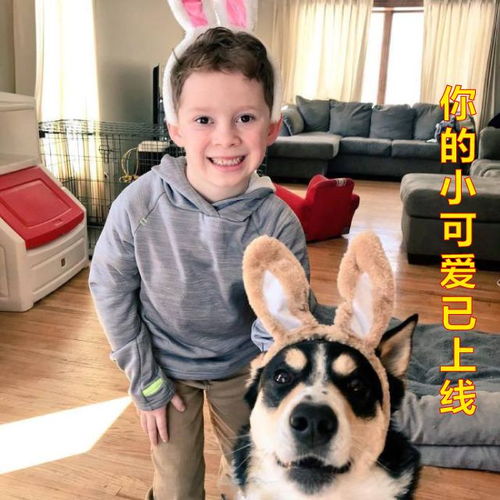 假笑男孩头像情头抱狗