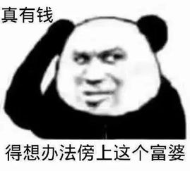 微信搞笑表情包关关雎鸠,在河之洲,八荒富婆,加我qq