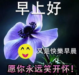 六月早上好问候语图片大全新的六月早上好优美祝福句子