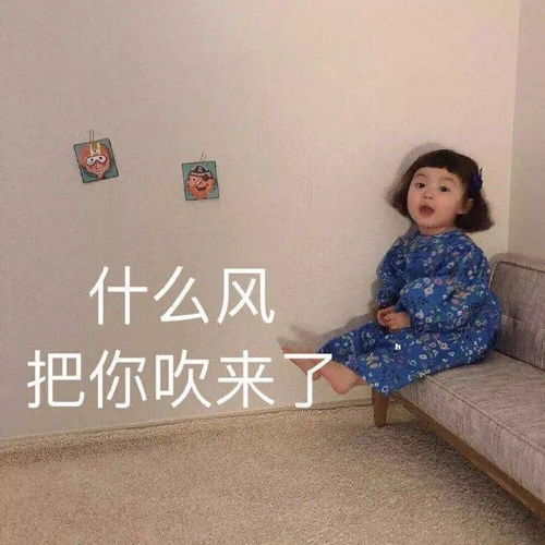 表情包沙雕表情包1484期