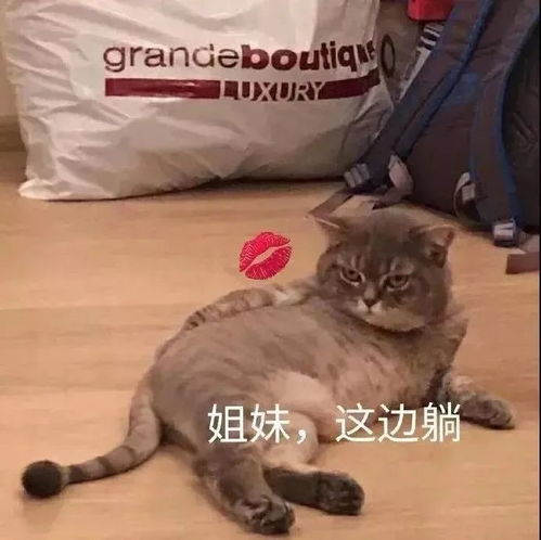搞笑表情包姐妹这边躺