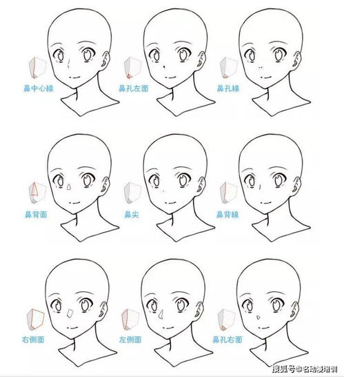 如何画好漫画人物的脸