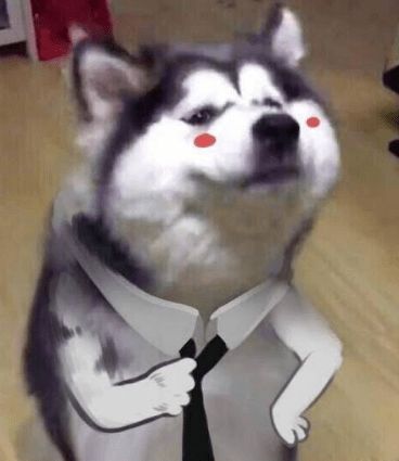 最搞笑的表情包图片天气预报