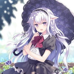 十二星座专属的二次元猫耳美少女,天秤座的最美,水瓶的不敢直视