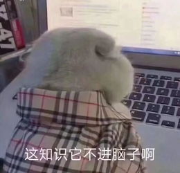 出了福建海事局考试出成绩了附带入面名单