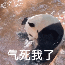 乱七八糟的表情包,我可太喜欢了