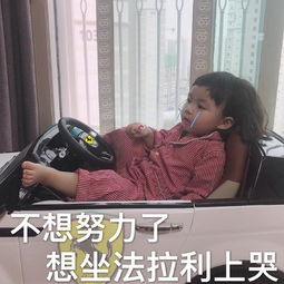 可爱罗熙表情包合集不想努力,想坐法拉利上哭