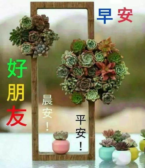 11月8日,最漂亮早上好动态表情图片大全,早晨好美图大全
