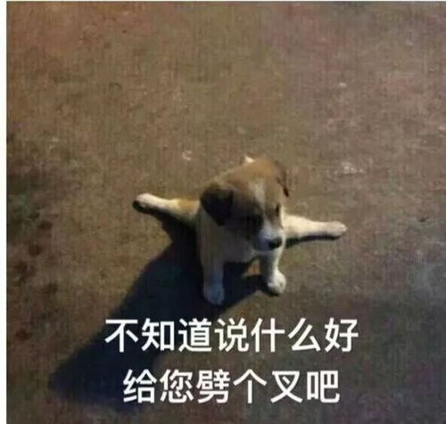 最受女生欢迎的男生类型