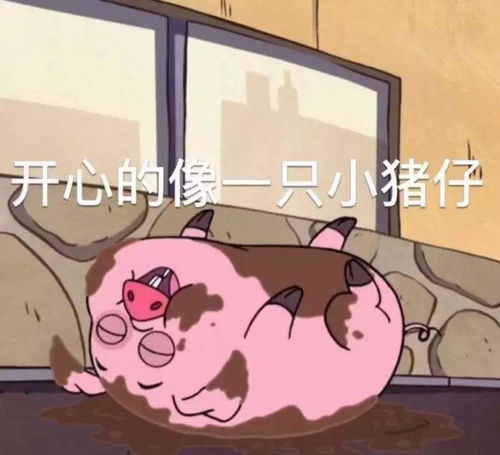 大学封校后的宿舍生活有多沙雕哈哈,代入感太强