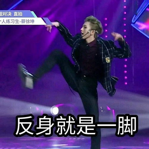 求科普打投组是个怎样的存在