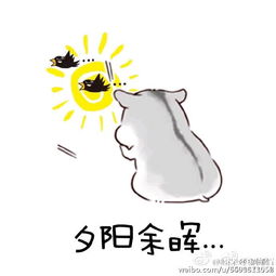为什么要读书,原来是这样子的