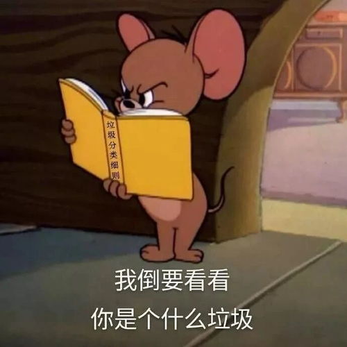 沙雕又可爱的朋友圈文案9.0,那些笑破肚皮的搞笑句子