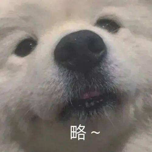 好玩搞怪个性表情包
