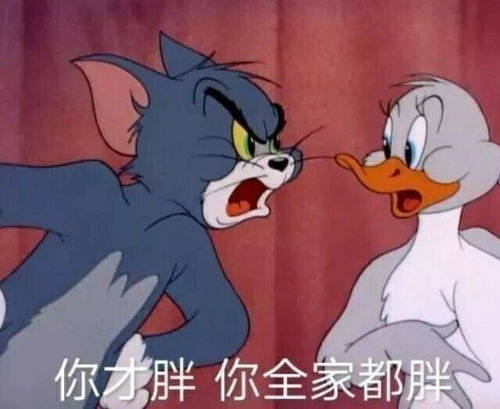 猫和老鼠表情包