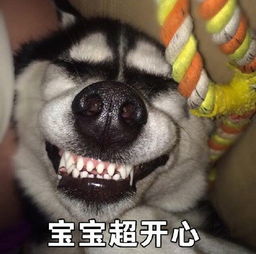 如何查看谁把你的微信置顶