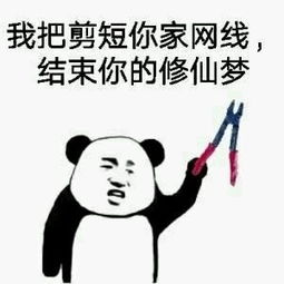 又抓到一个修仙的,半夜不睡都在修仙吗