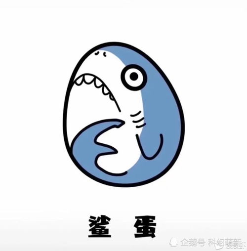 每日一笑,大家都见过什么搞笑的神评