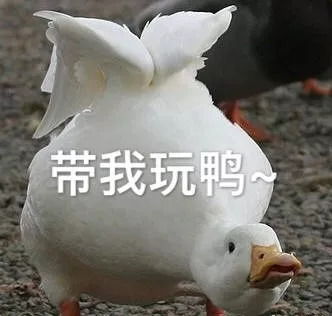 山水一程三生有幸