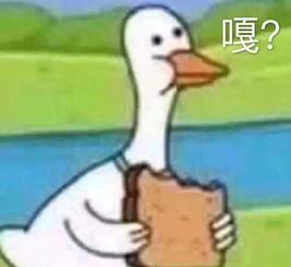 老师都有两副面孔,尤其男老师咋说体育老师竟然哭嘤嘤办公室看韩剧戴教授