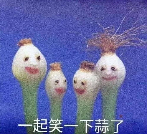 进来拉踩热度和实力不对等的文安利冷门太太